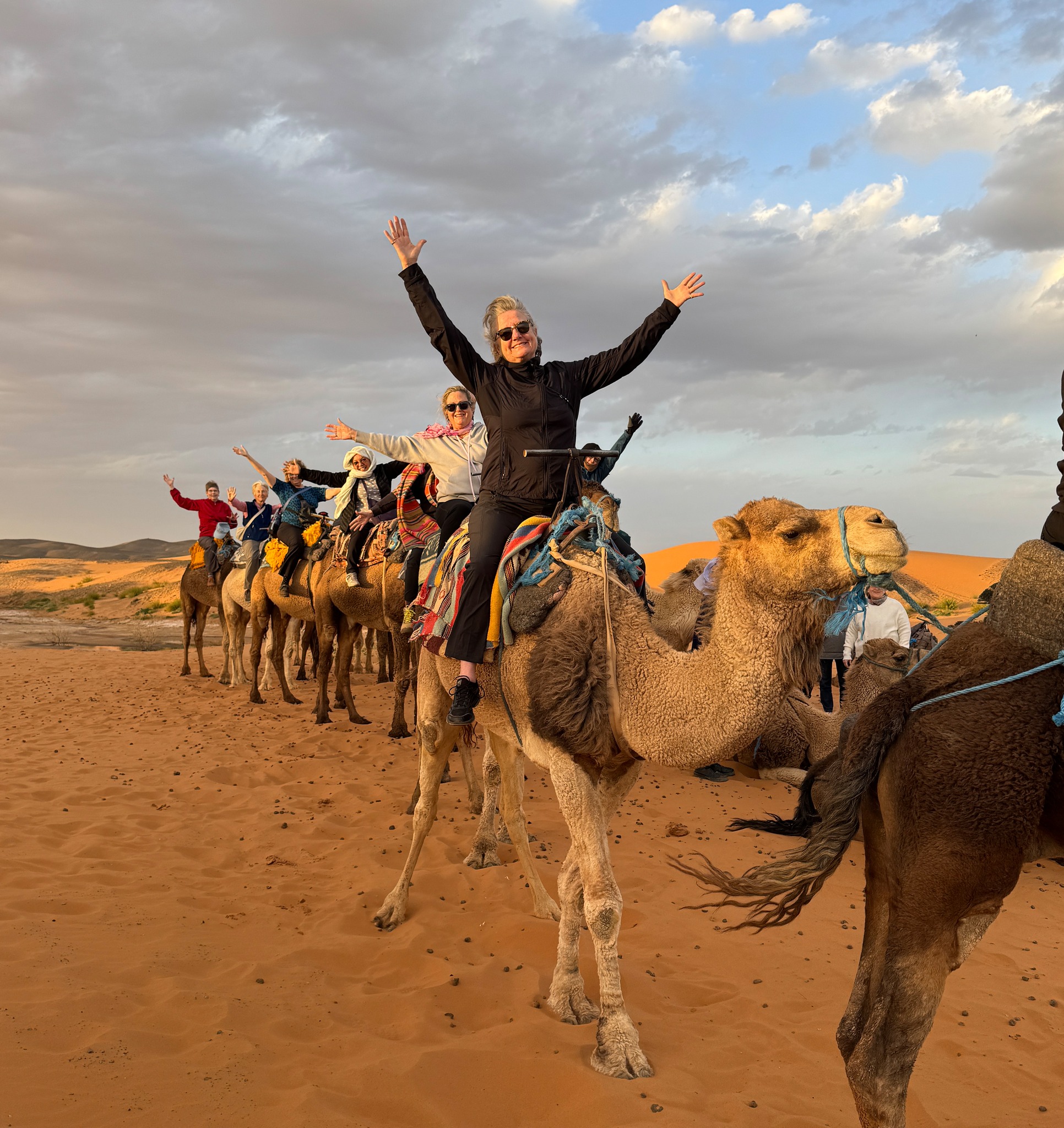 WTT travelers on camels in the desert